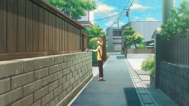 真冬と猫